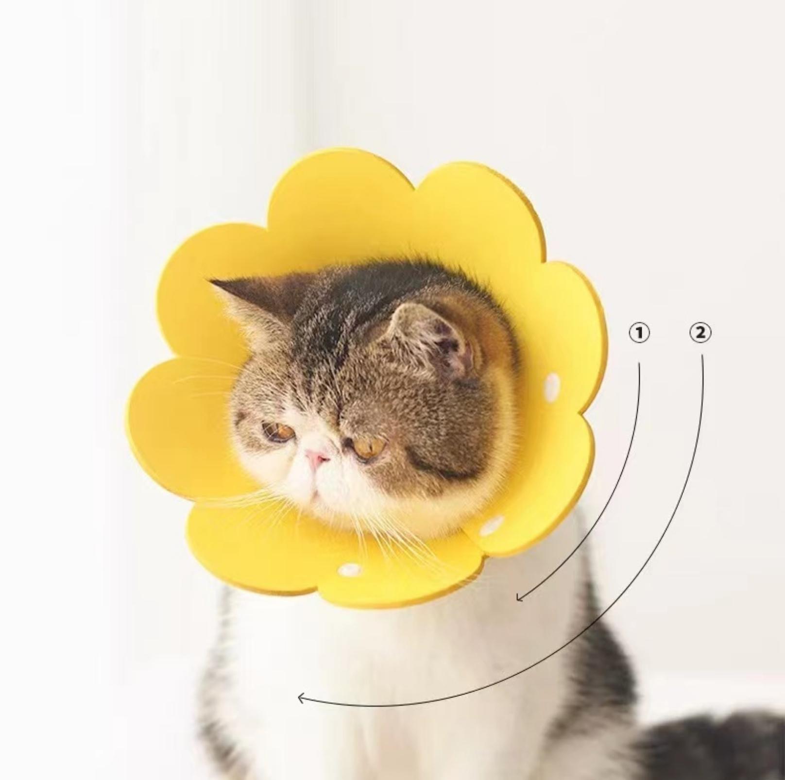 Meoof Sunflower E-Collar - Lightweight & Stylish for Cats & Dogs