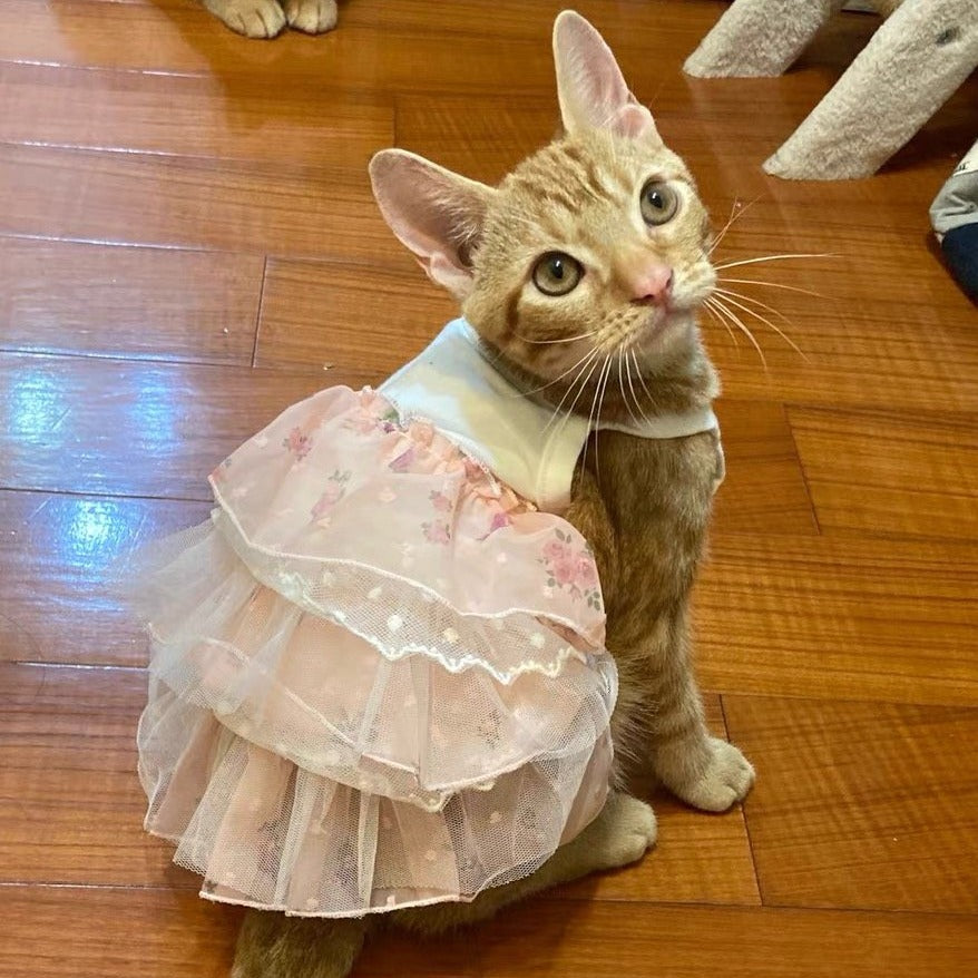 Princess Lace Layered Dog Cat Dress