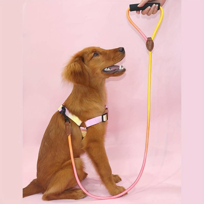 Gradient Dog Leash