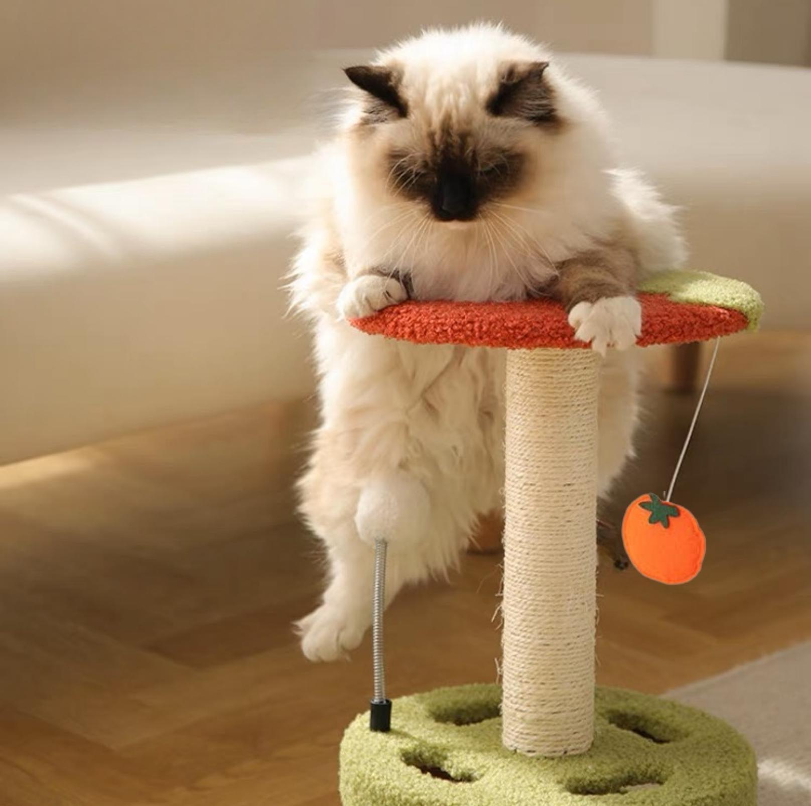 Cute Cartoon Style Small Cat Tree Scratching Post