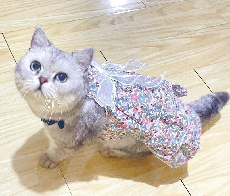 Pastoral Cotton Ditsy Floral Bow Knot Pet Clothing