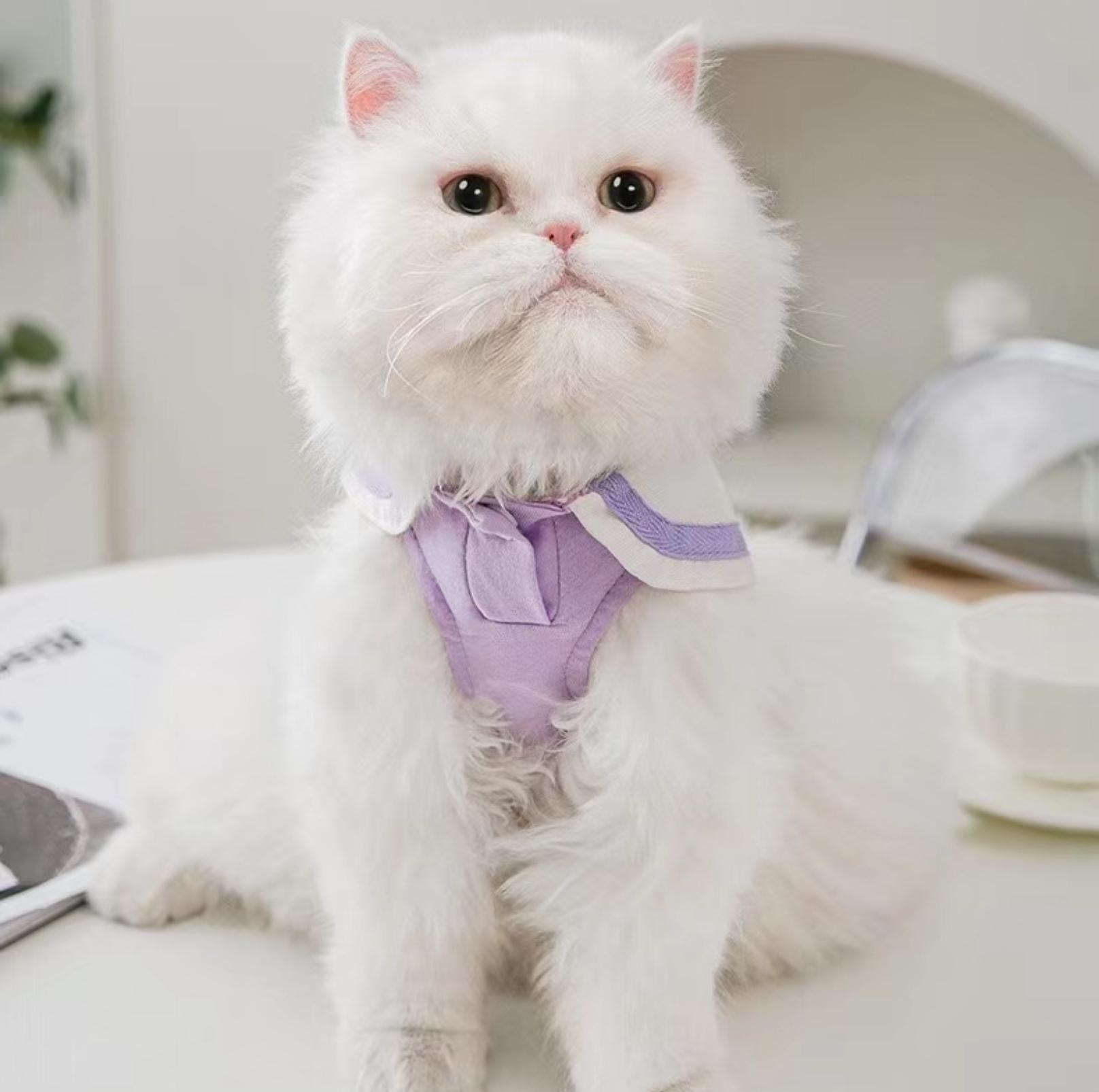 Summer Pet Vest with Naval Collar & Kitty Print