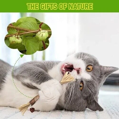 🔥 😺Natural Silvervine Stick Cat Chew Toy- BUY 3 Get 1 Free