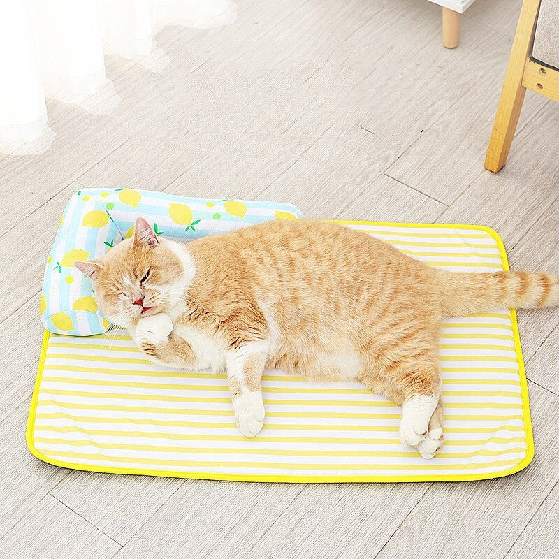 Sleeping Mat Cooling Pad