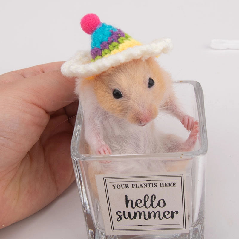 Hamster Hat Parrot Hair Band Photo Small Animal Headdress Handmade Frog Hat Ornaments Hedgehog Headgear Explosions