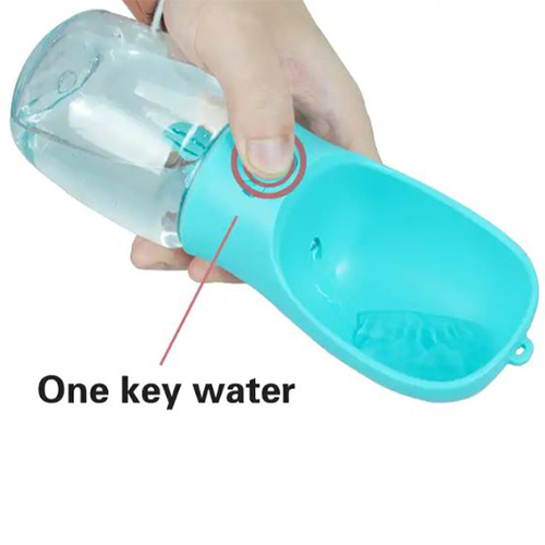 Water bottle