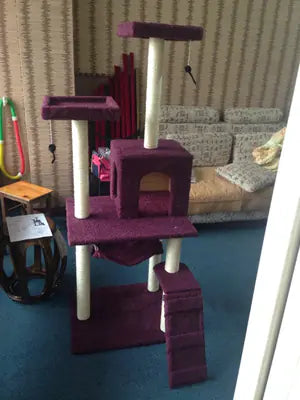 Climb & Scratch Cat Activity Center
