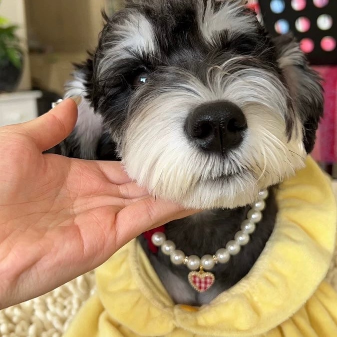 Vintage Plaid Heart Pearl Dog Cat Necklace