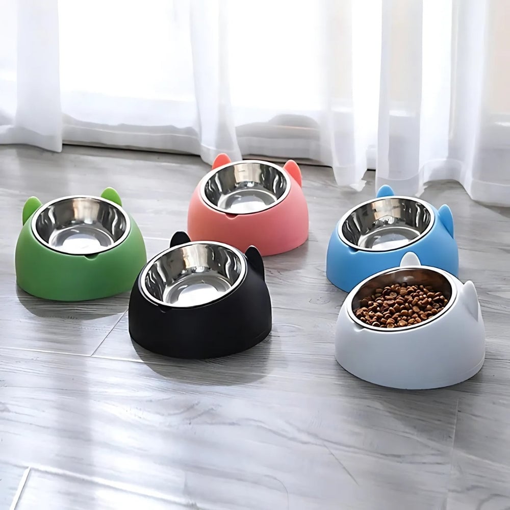 Pet Feeding Bowl