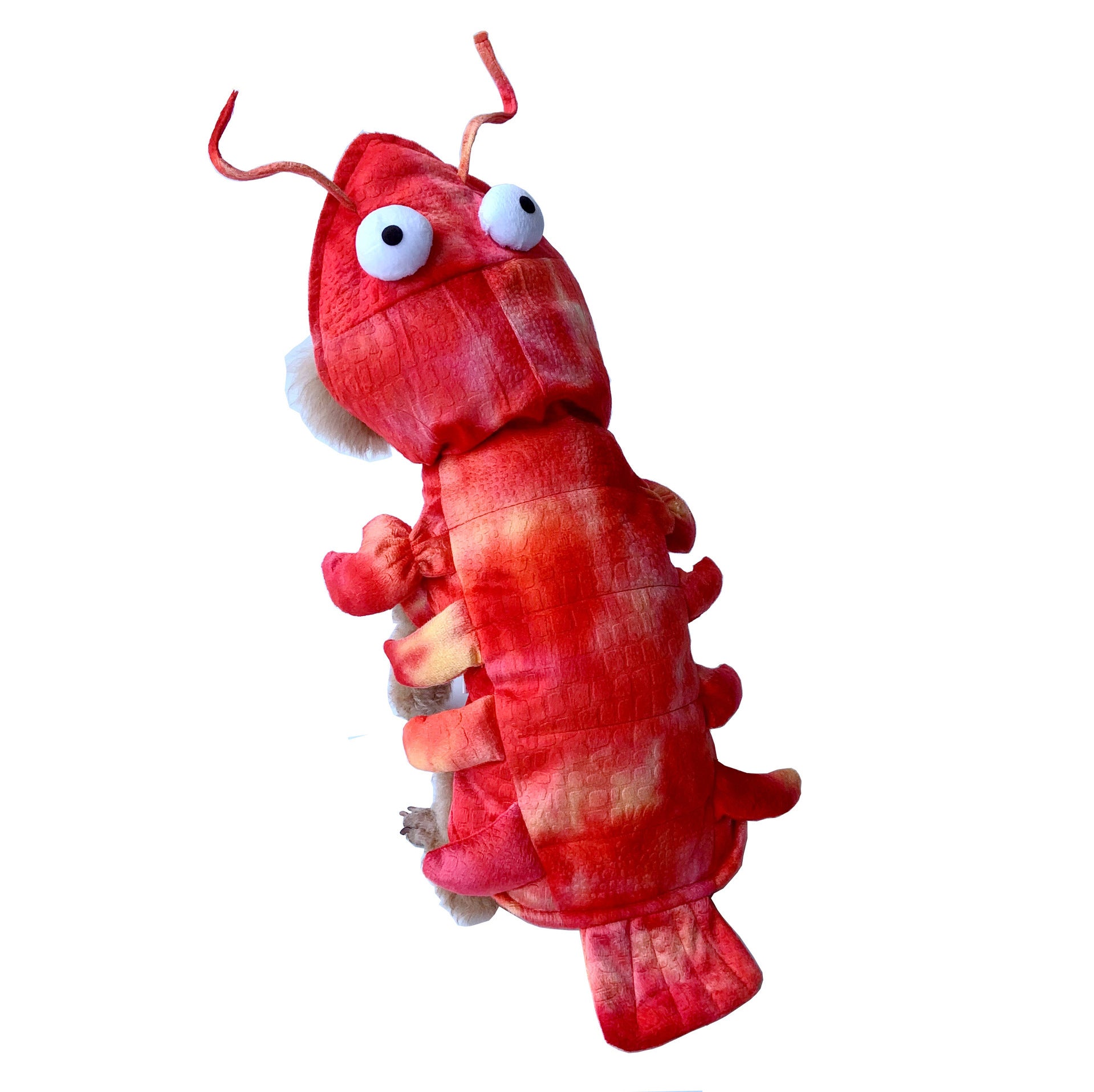 Lobster Pet Costume - Cat & Dog Outfit for Fun Makeovers