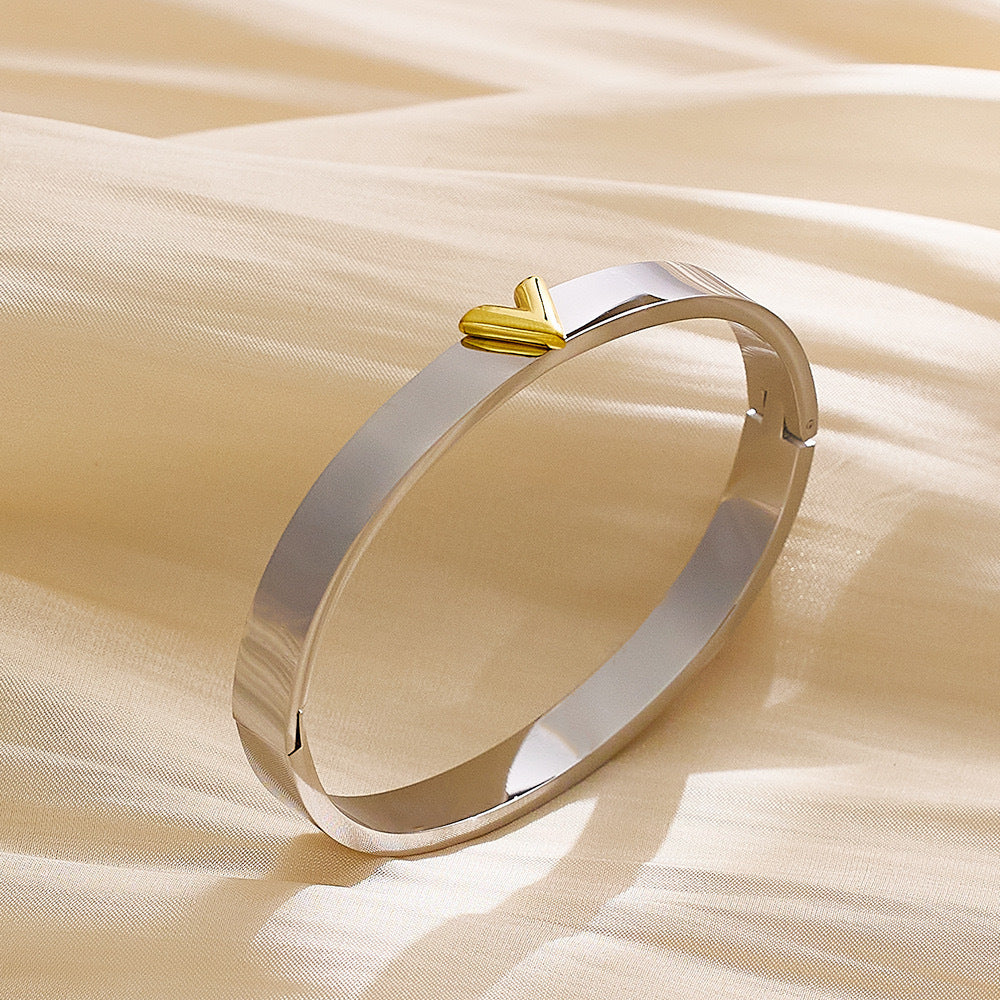 Ellipse Titanium Steel Electroplating Bangles