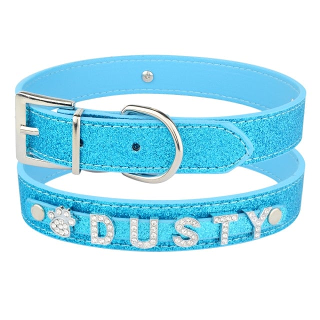 Personalized Dog Collar with Name