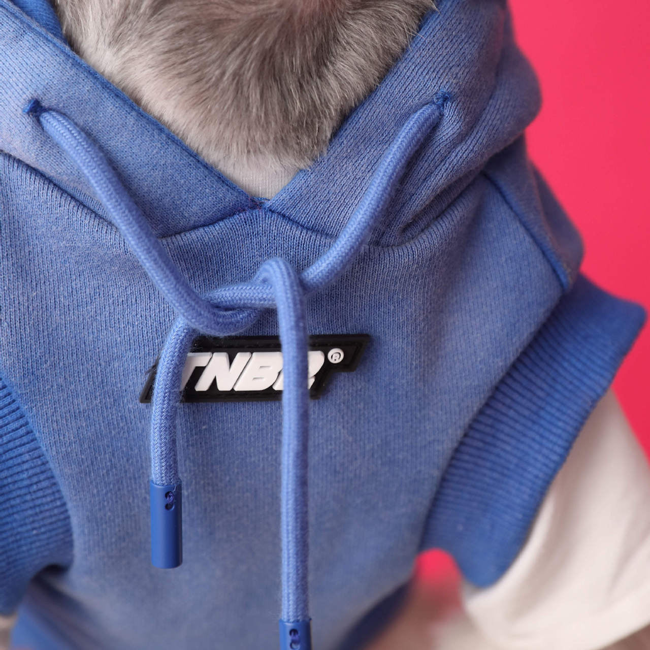 Letter Printed Dog Cat Short Sleeves Hoodie