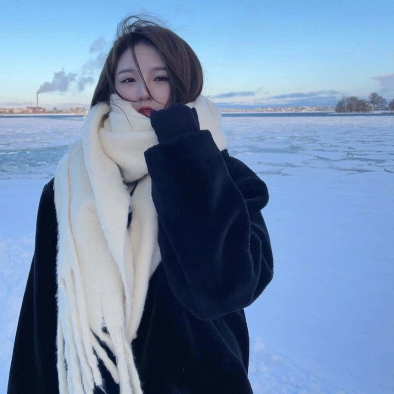 Women's Minimalist Classic Style Solid Color Imitation Cashmere Scarf