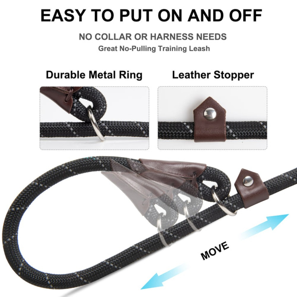 Sturdy Slip Training Leash