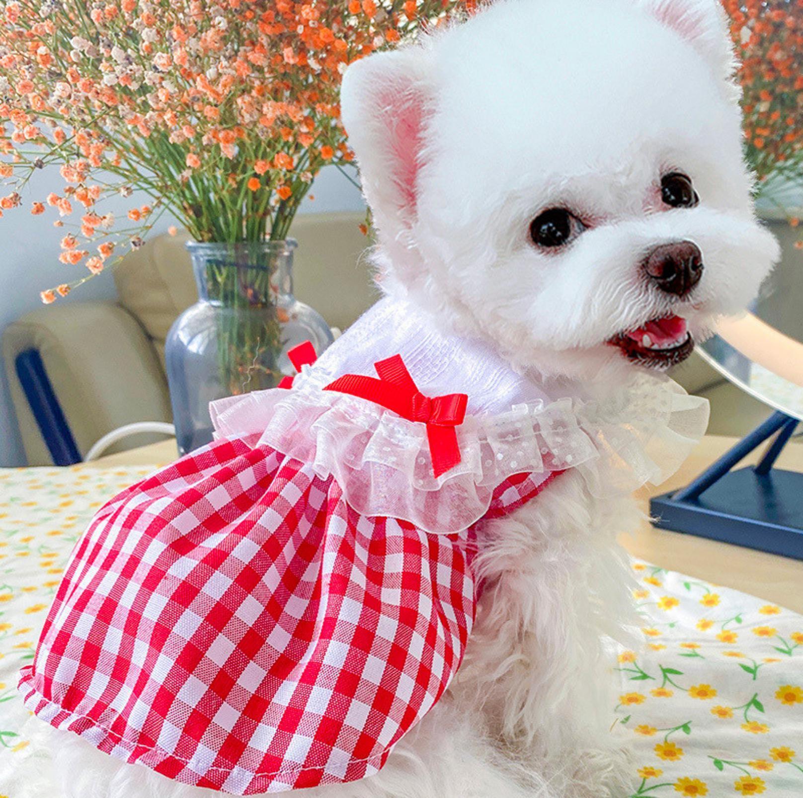 Pet Red Checkerd Dress With Small Bows