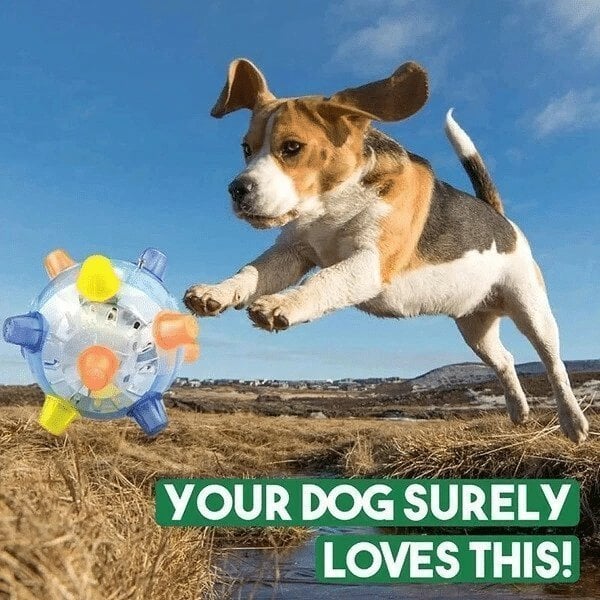 🔥Jumping activation ball for dogs and cats