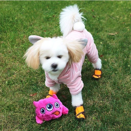 🐶Hot Sale💥💥Trembling Monster Dog Jumping Active Ball