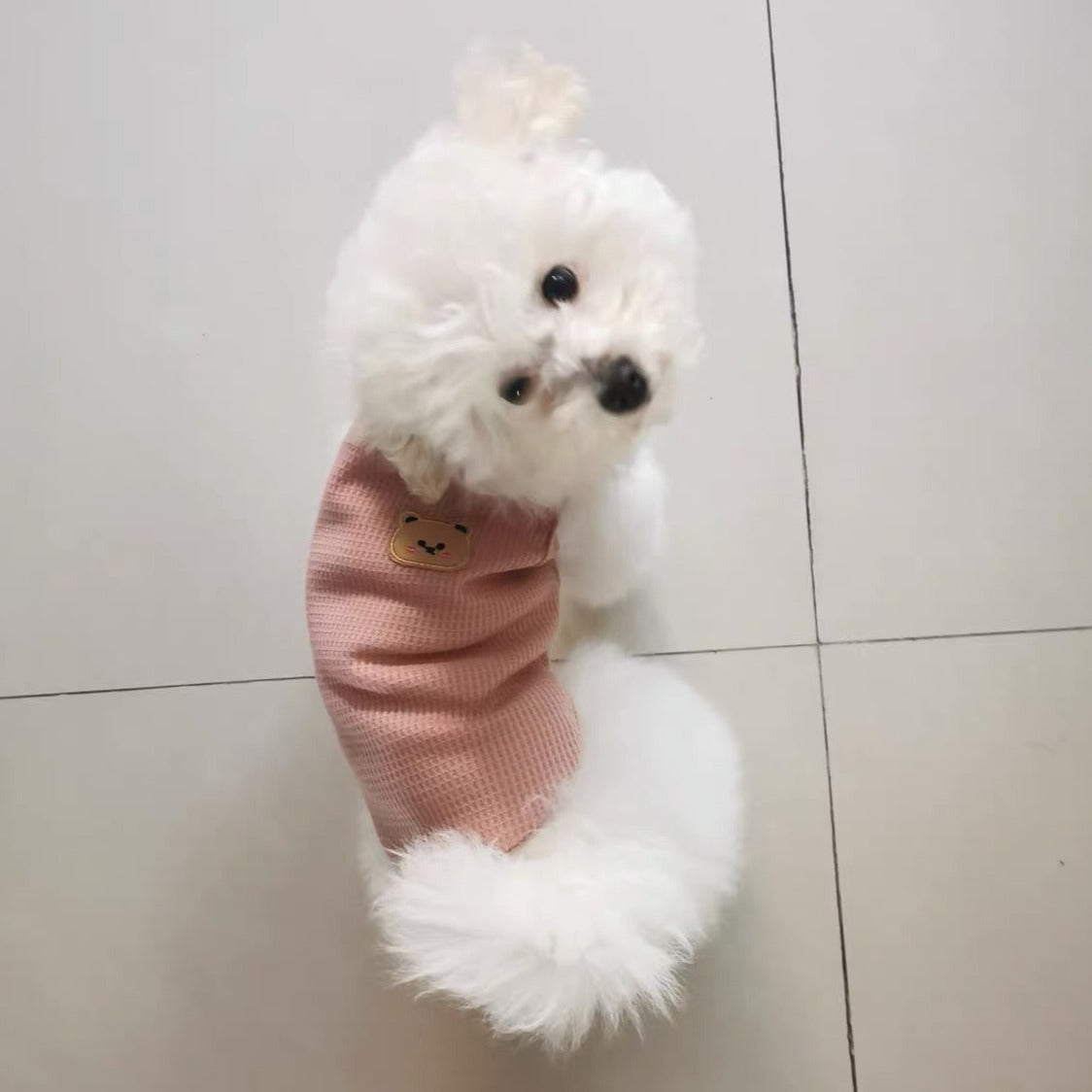Breathable Bear Printed Cat Dog Vest