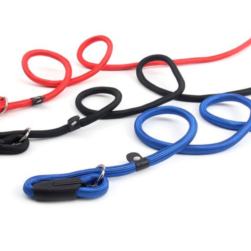 Solid Dog Leash