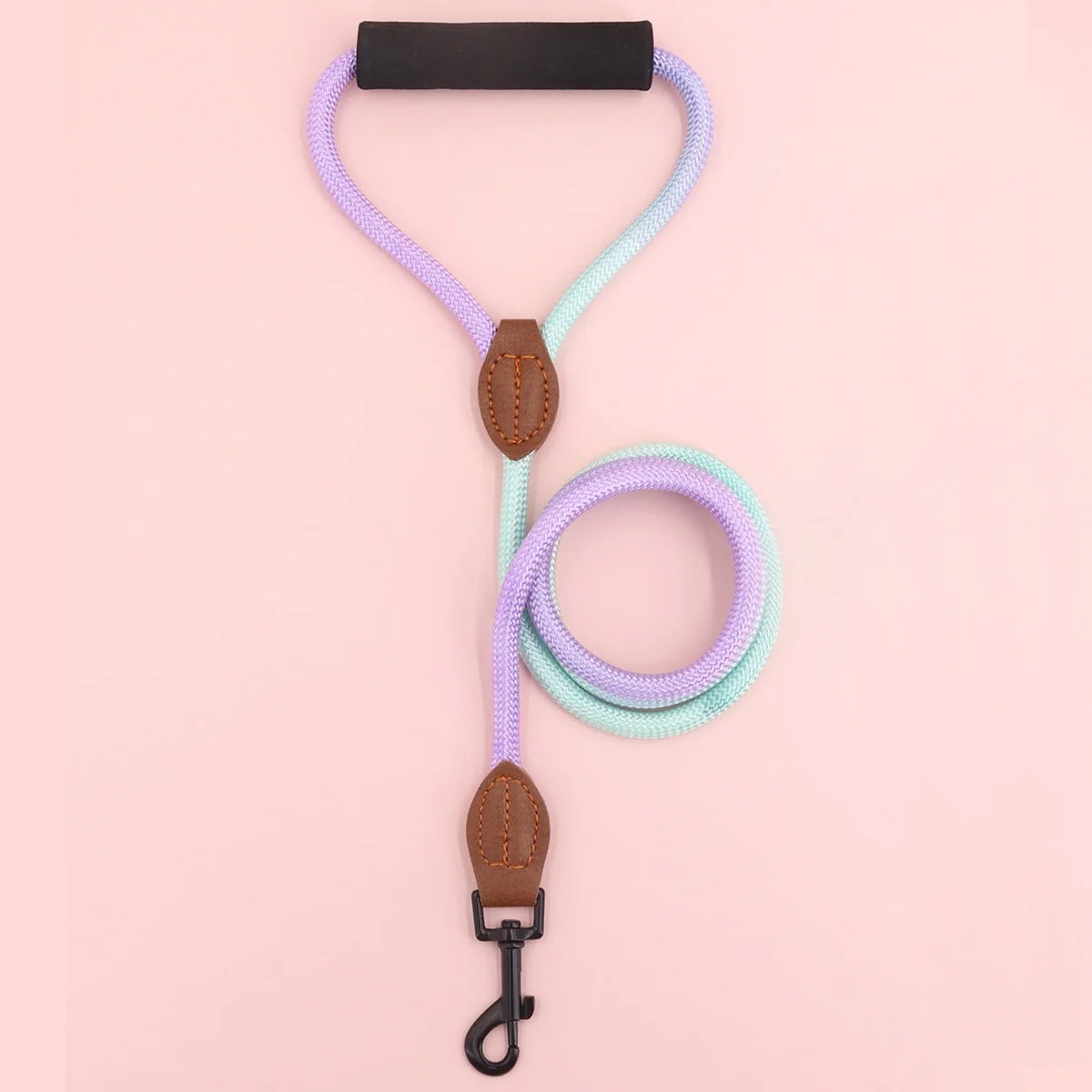 Gradient Dog Leash