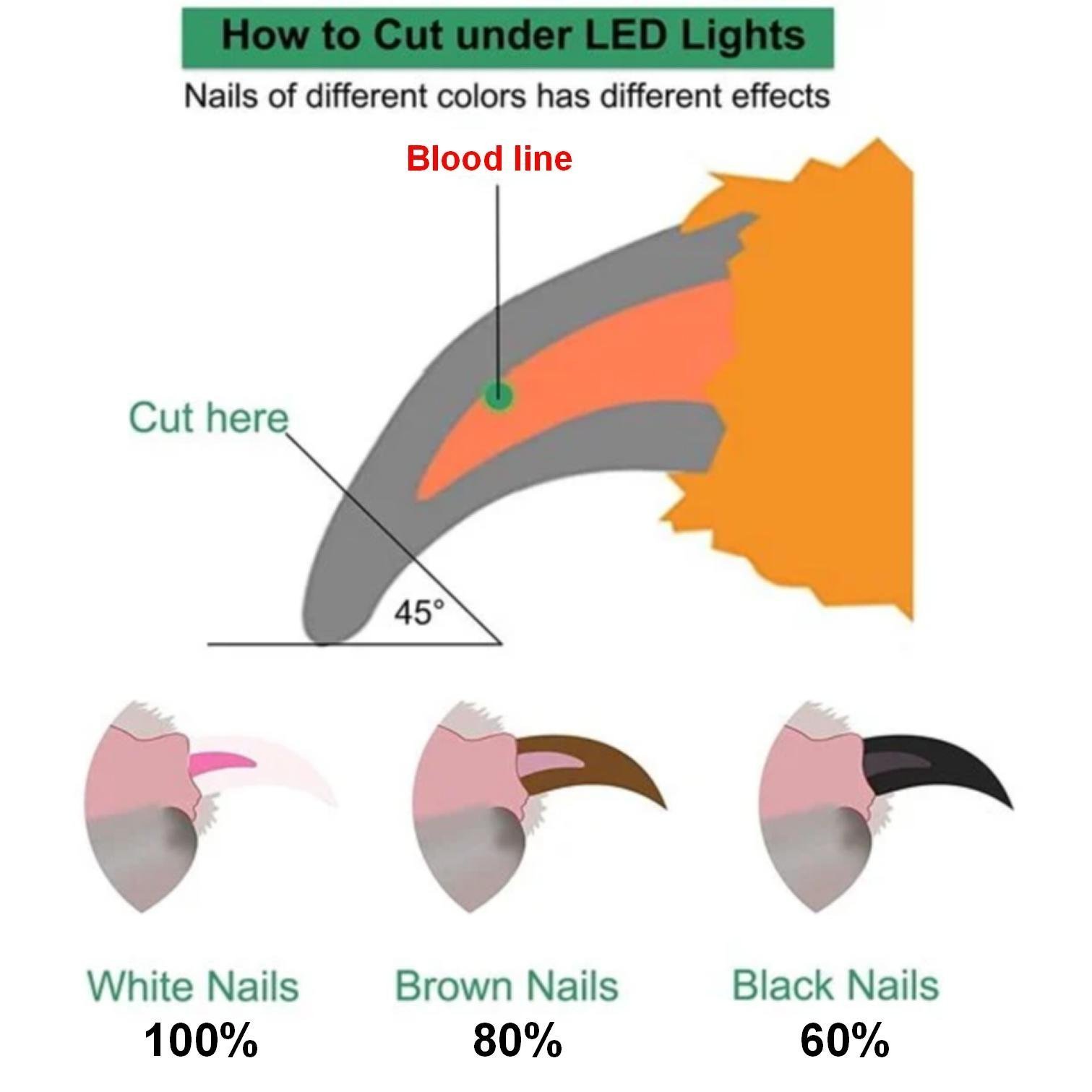 Hot Sale 49% OFF - Professional LED Pet Nail Clippers