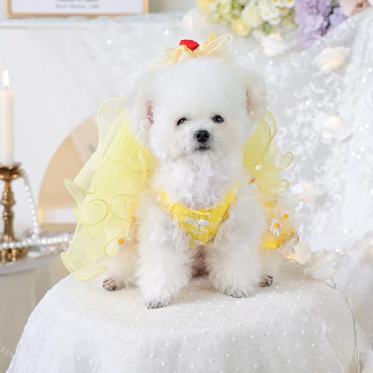 Bow/Mermaid/Ear Pattern Dog Cat Veil