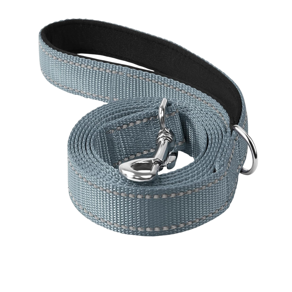 Double Sided Reflective Dog Leash
