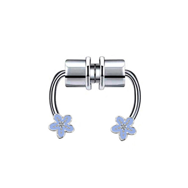 Magnet Septum Ring