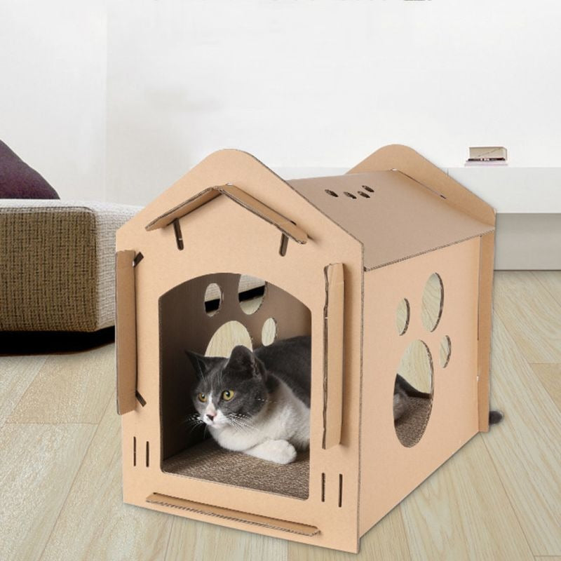 Paper Carton Box Cat