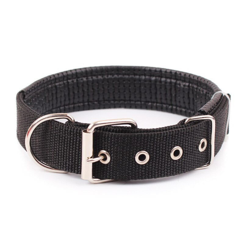 Double Layer Padded Collar