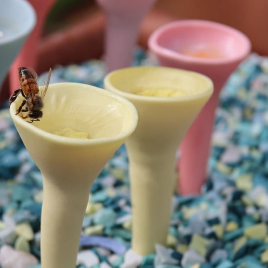 🔥LAST DAY 49% OFF🔥Bee Insect Drinking Cup(5-Pack)🐝🐝🐝