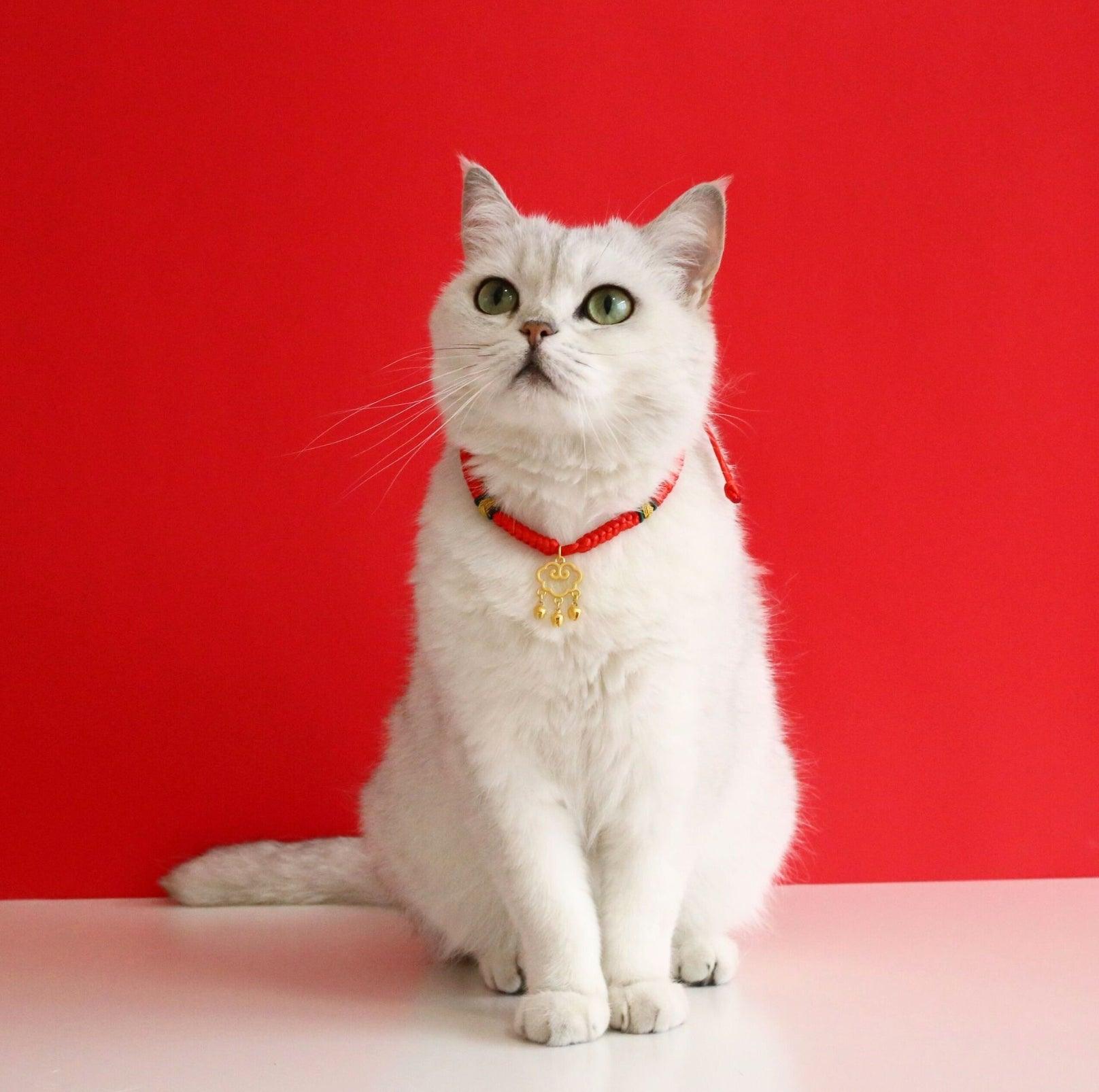 Adjustable Red Cord Pet Collar with Chinese Wishes Pendants