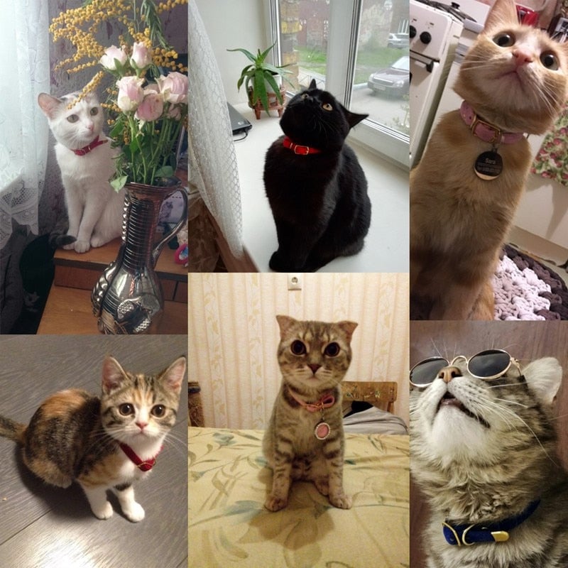 PU Leather Small Cat & Dog Collar