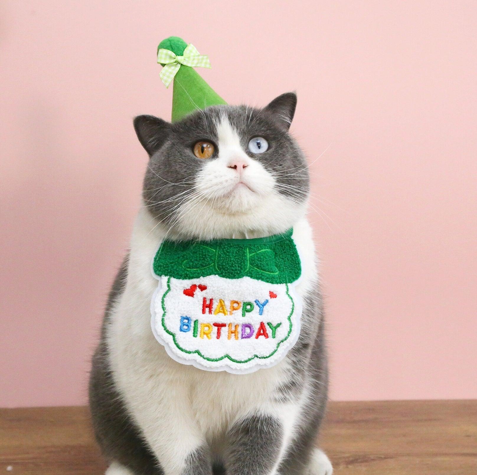 Pet Birthday Ensemble - Embroidered Hat & Bib Accessory Pack