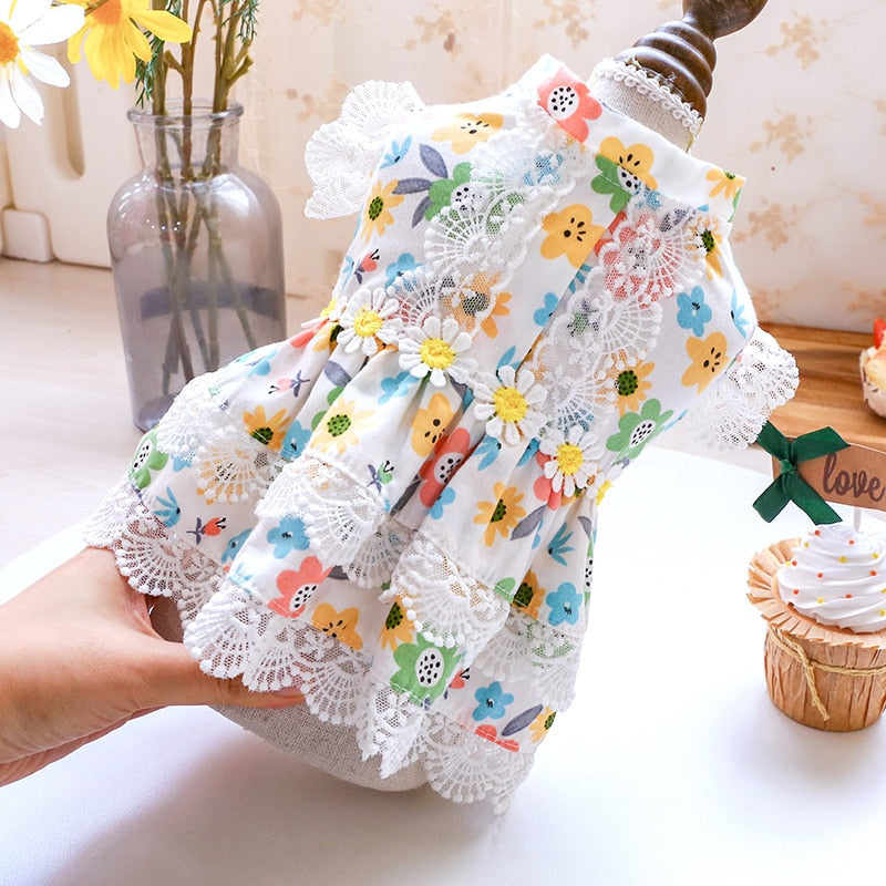 Floral Lace Design Dog Cat Dress