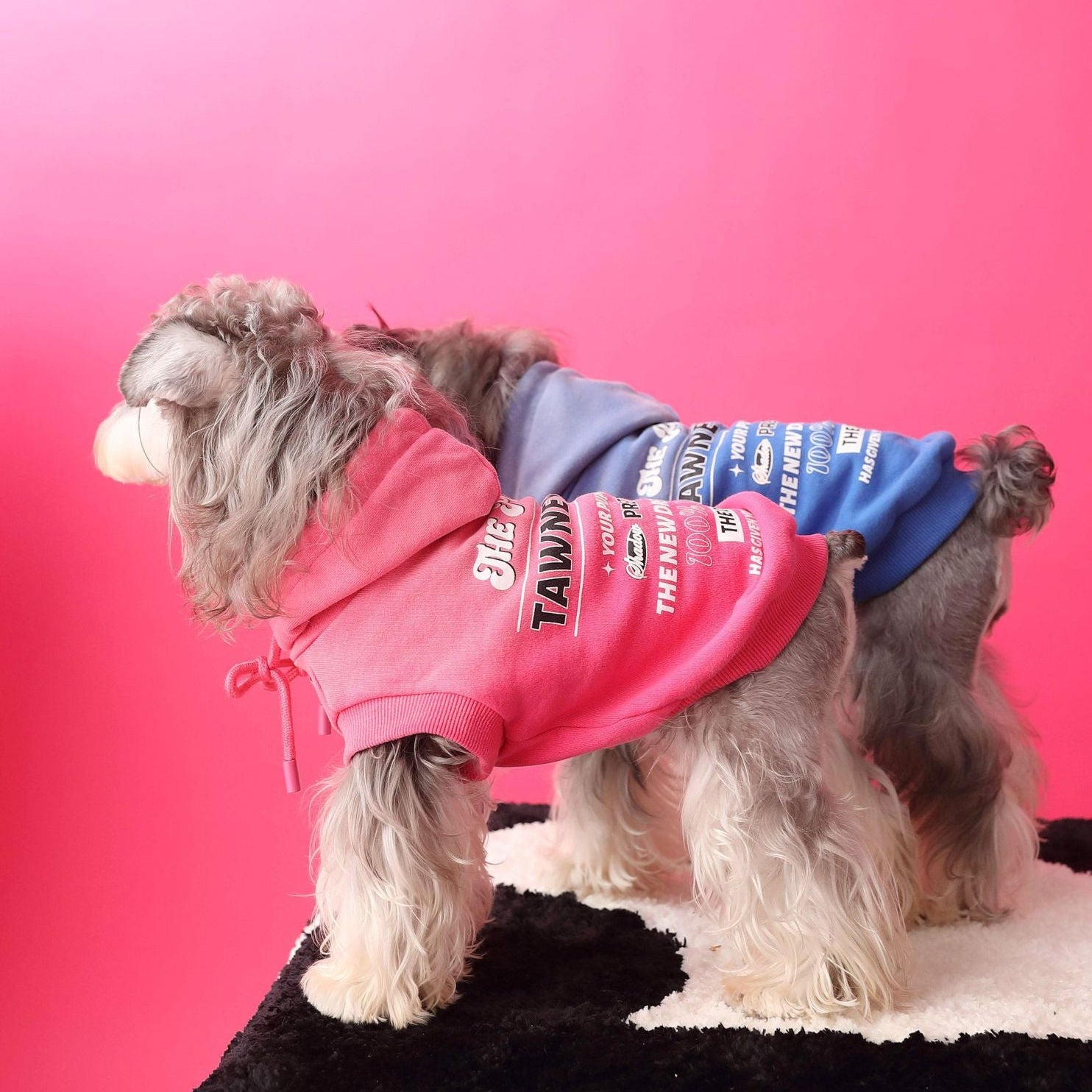 Letter Printed Dog Cat Short Sleeves Hoodie