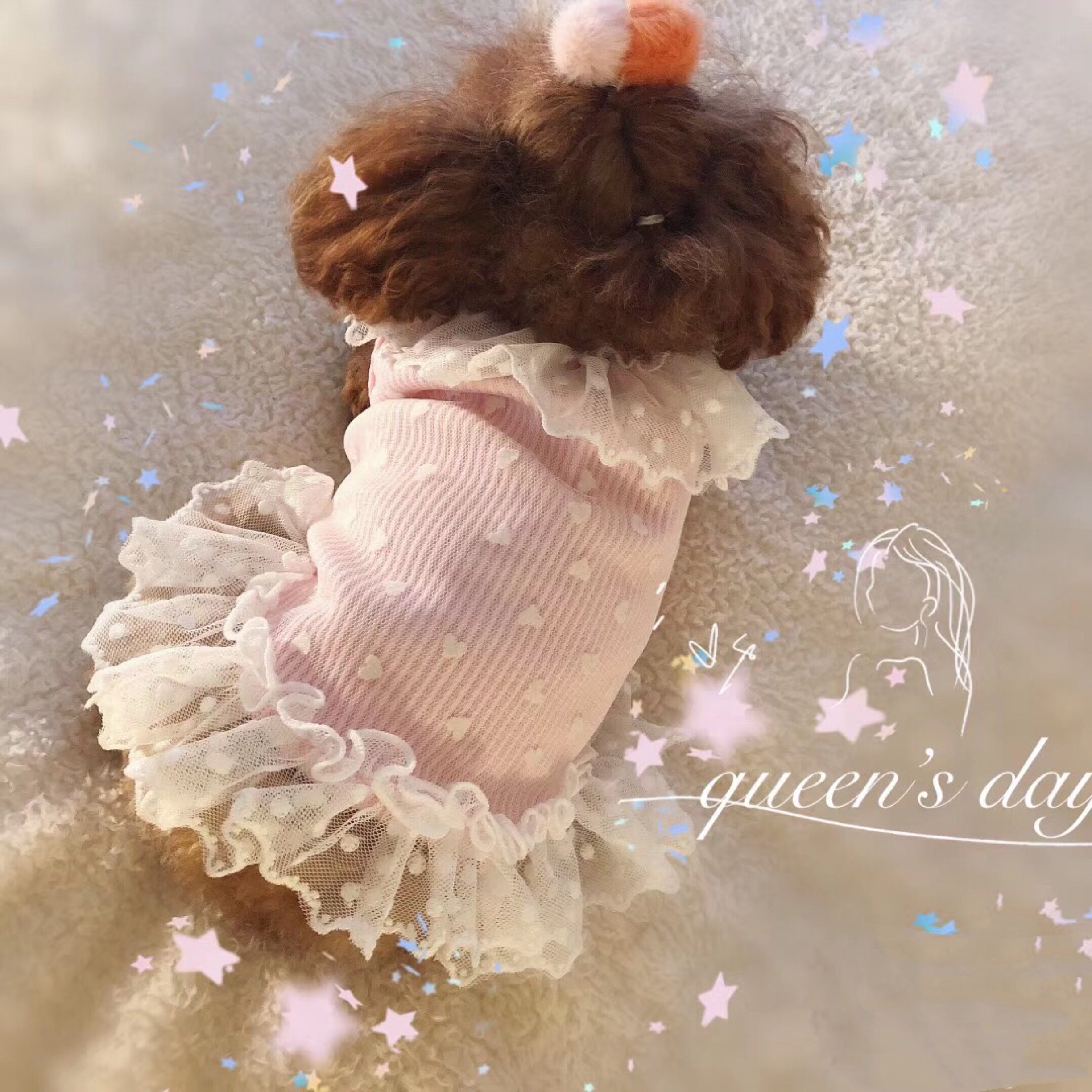 Heart Printed Lace Dog Cat Dress