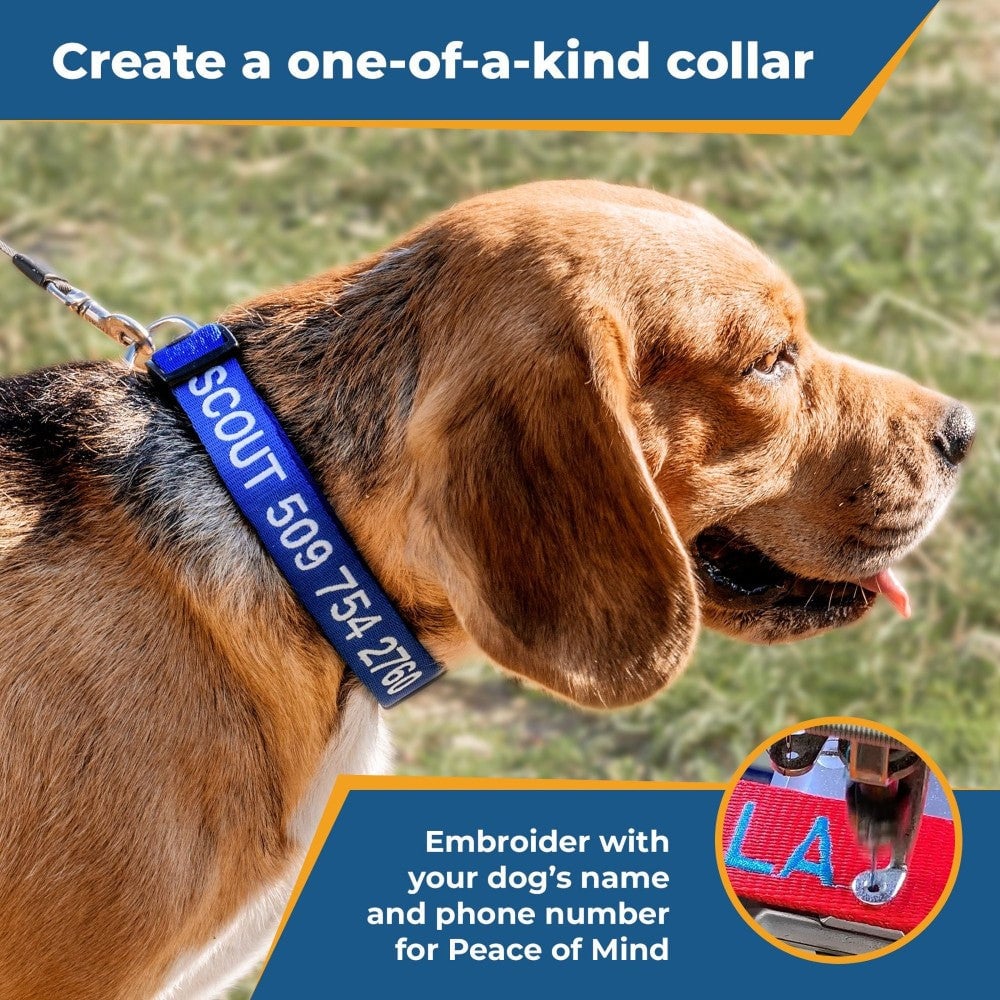 Personalized Adjustable Dog Collar For All Breeds