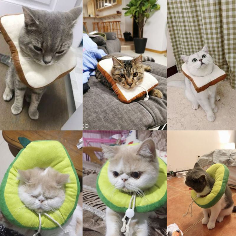 Adjustable Cat Recovery  Collar