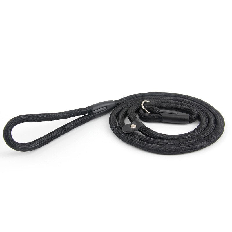 Solid Dog Leash