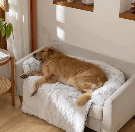 🔥Free shipping🔥Calming Furniture Protector (for pets!)