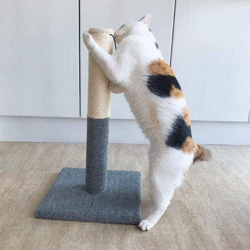 Climbing Poll For Cats