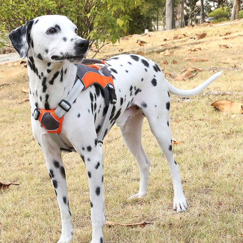 Breathable Mesh Reflective Harness