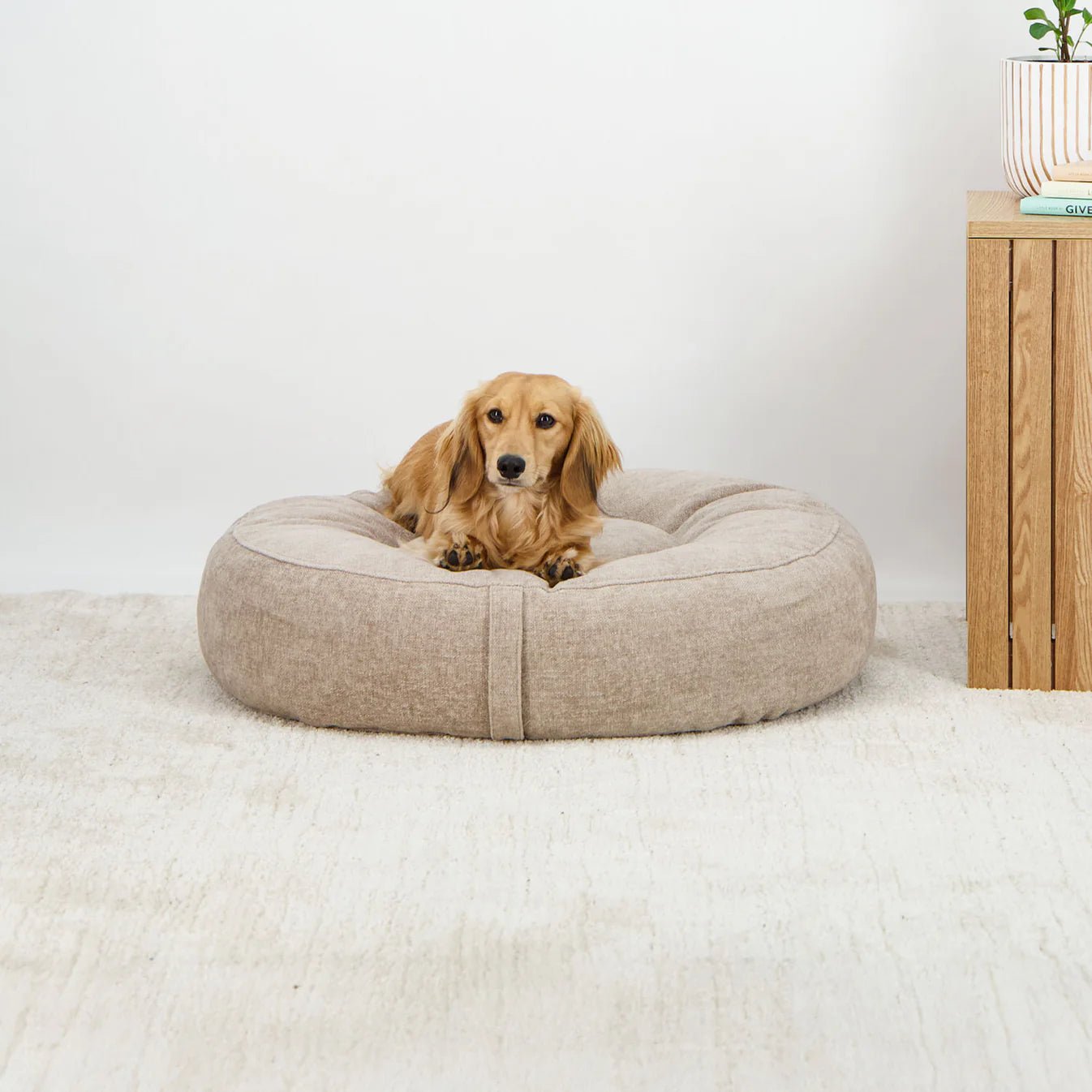 Dream Cloud Dog Bed - Sand