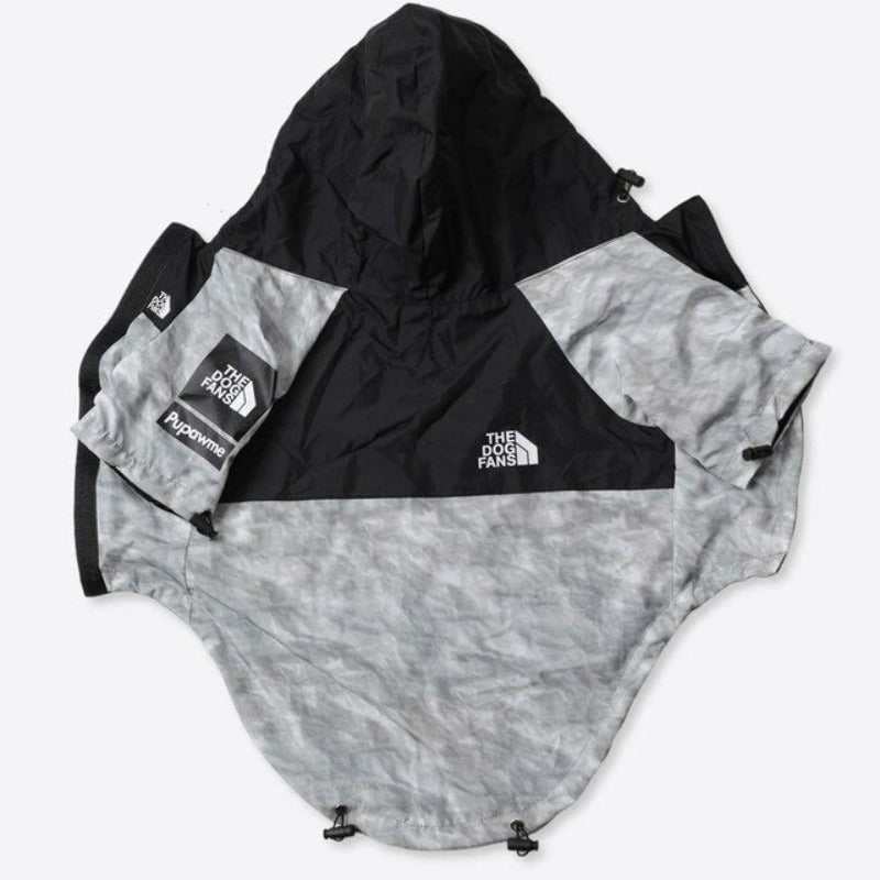 Designer Fashion Clothes For Dog