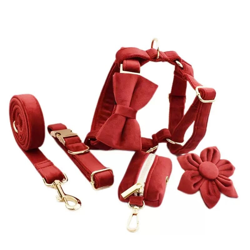 Velvet Personalized Dog Harness Collar Leash