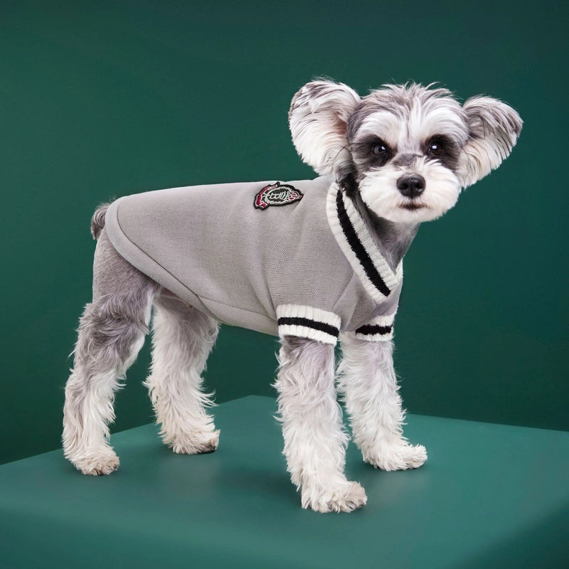 Autumn And Winter New Knitted Vest Pet Clothes V-neck College Style Vest Teddy Bomei Fashion Dog Clothes