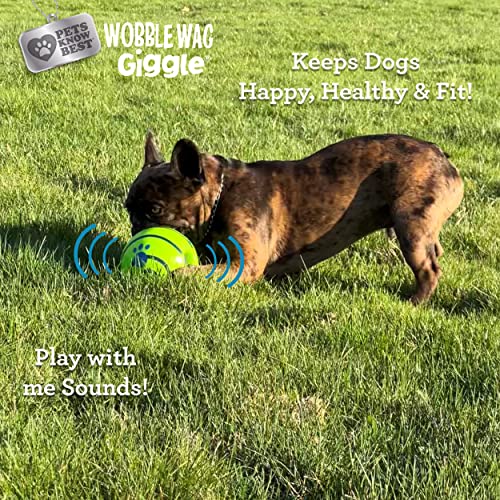 Wobble Wag Giggle Ball. Interactive Dog Toy. Fun Giggle Sounds When Rolled or Shaken. Pets Know Best. As Seen On TV