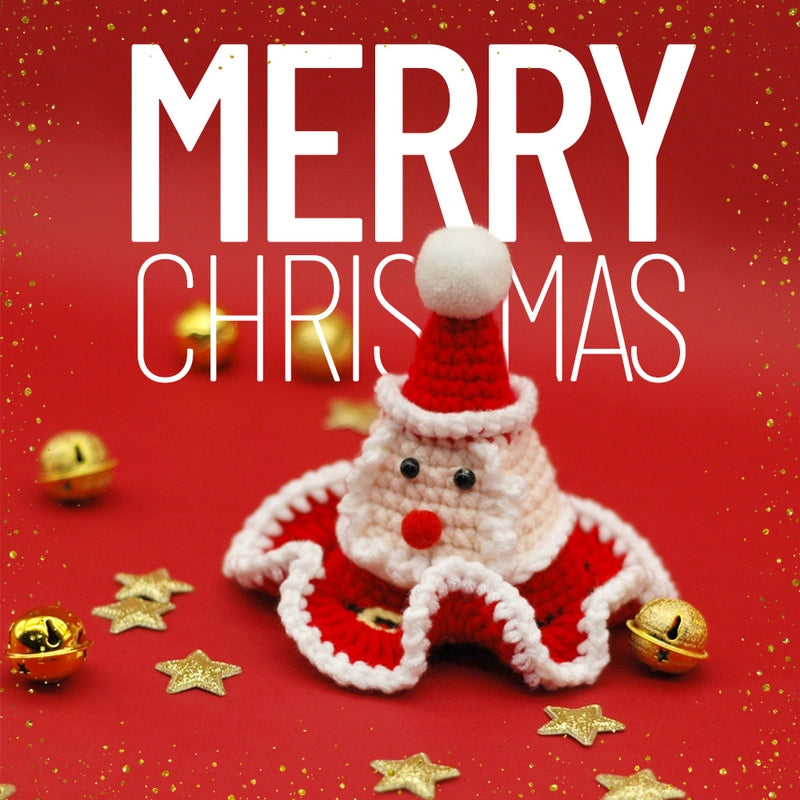 Modern Style Christmas Pet Accessories
